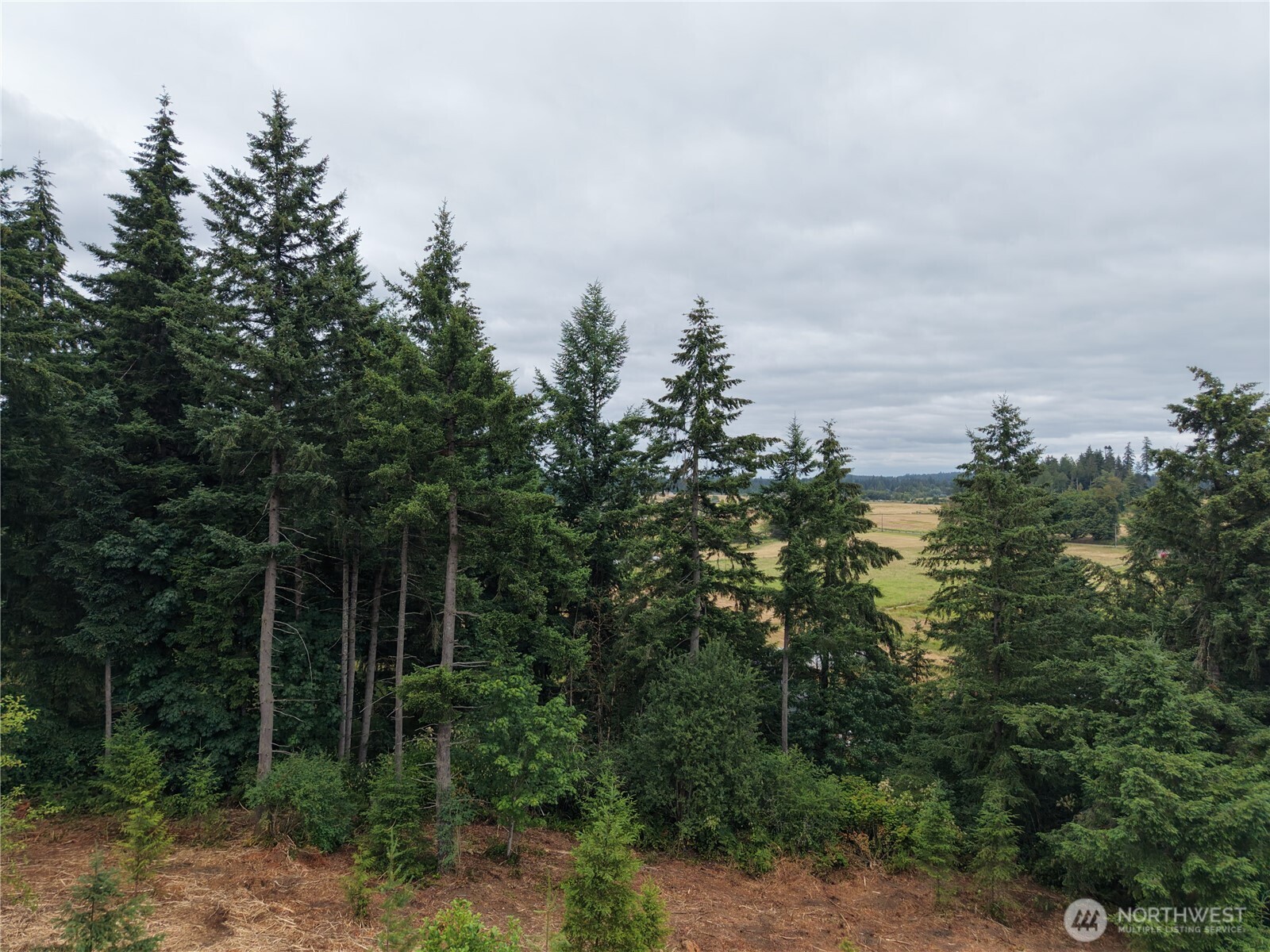 12345 Case Road Property Photo 26