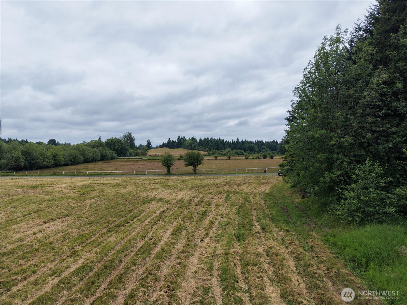 12345 Case Road Property Photo 29