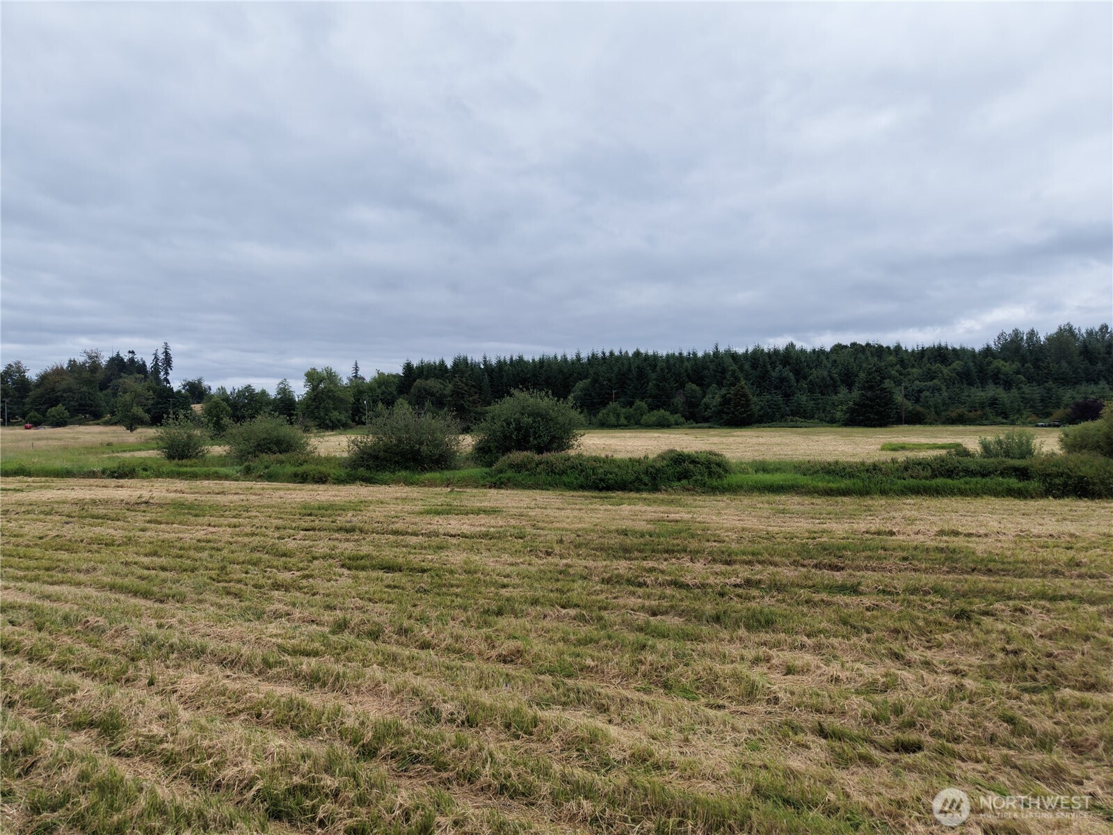 12345 Case Road Property Photo 30