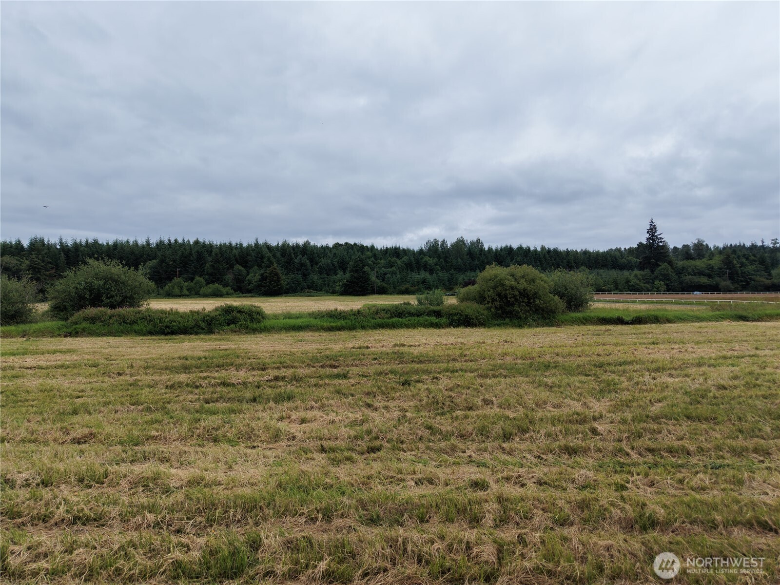 12345 Case Road Property Photo 31