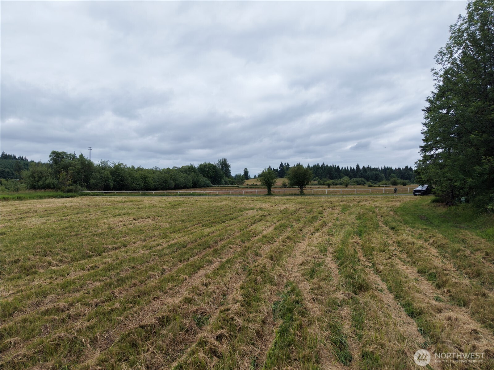 12345 Case Road Property Photo 32