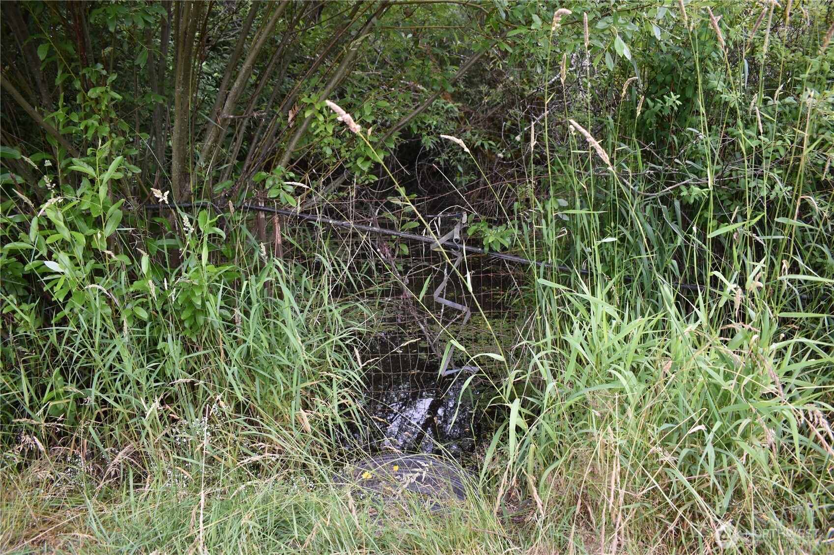 12345 Case Road Property Photo 33