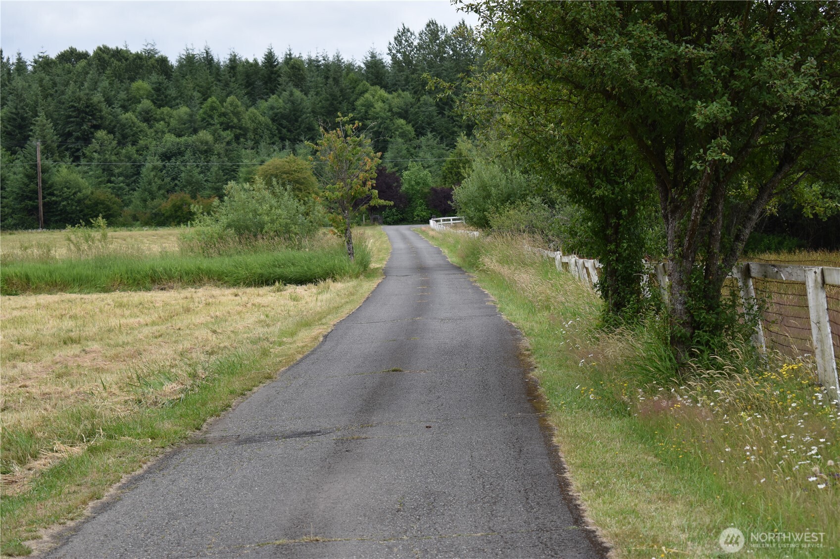 12345 Case Road Property Photo 35