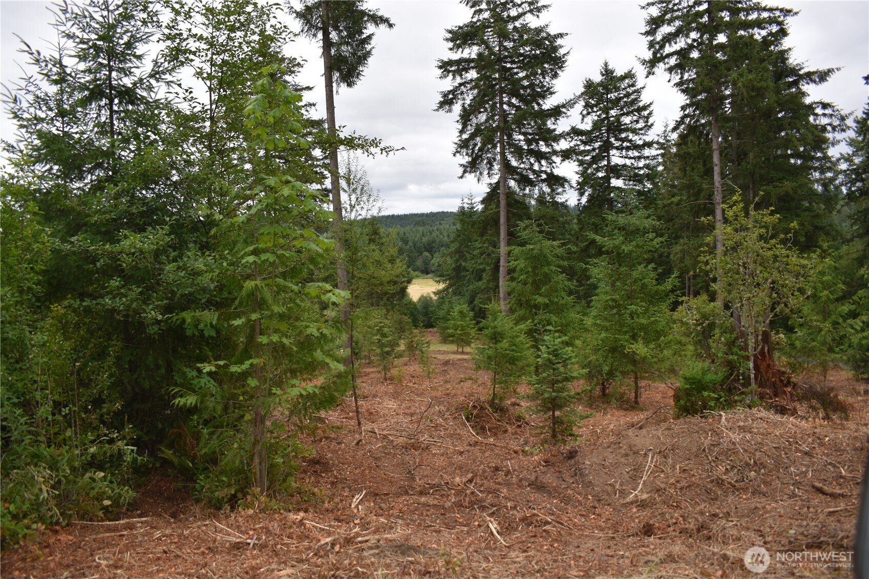 12345 Case Road Property Photo 36
