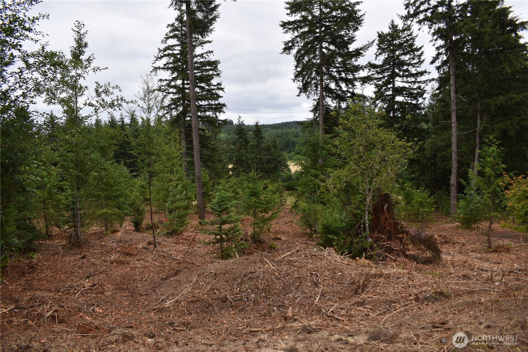 12345 Case Road Property Photo 37