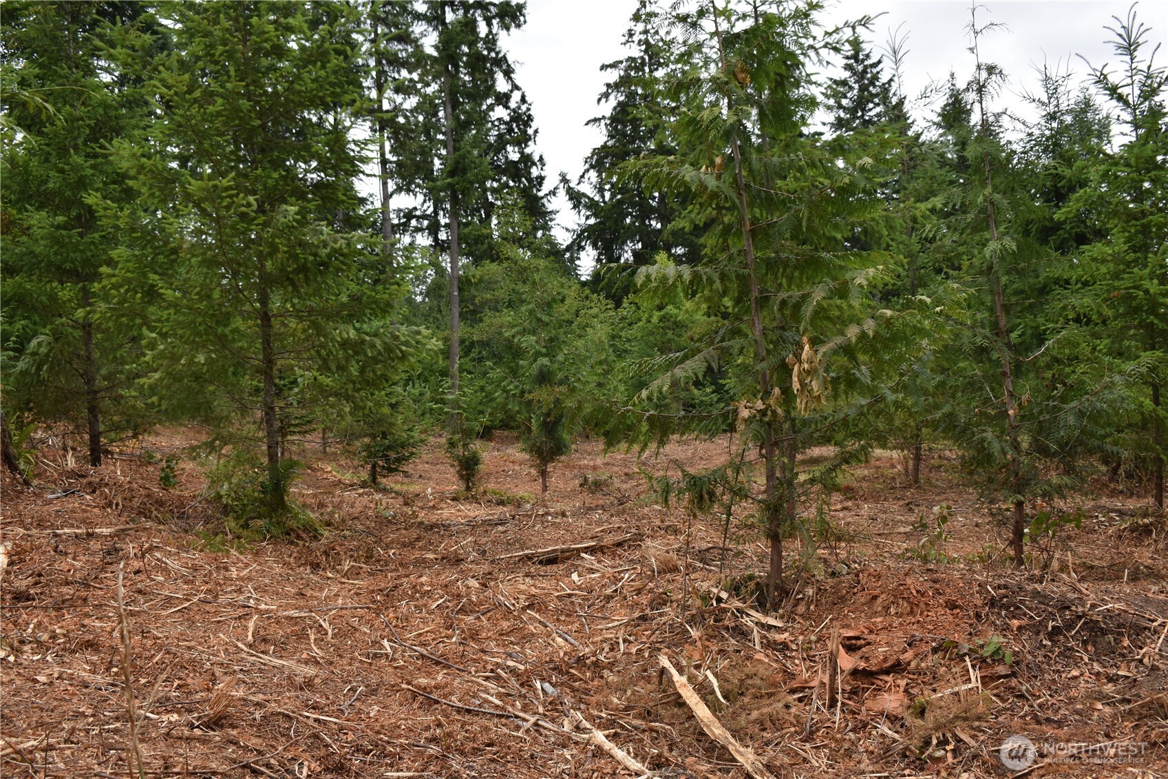 12345 Case Road Property Photo 38