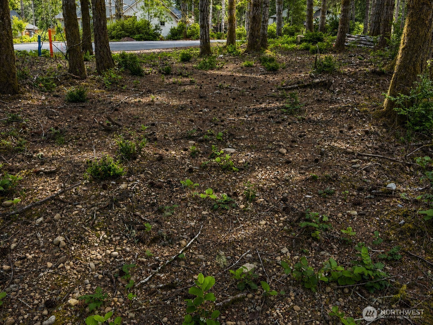 21 E Dogwood Court Property Photo 4