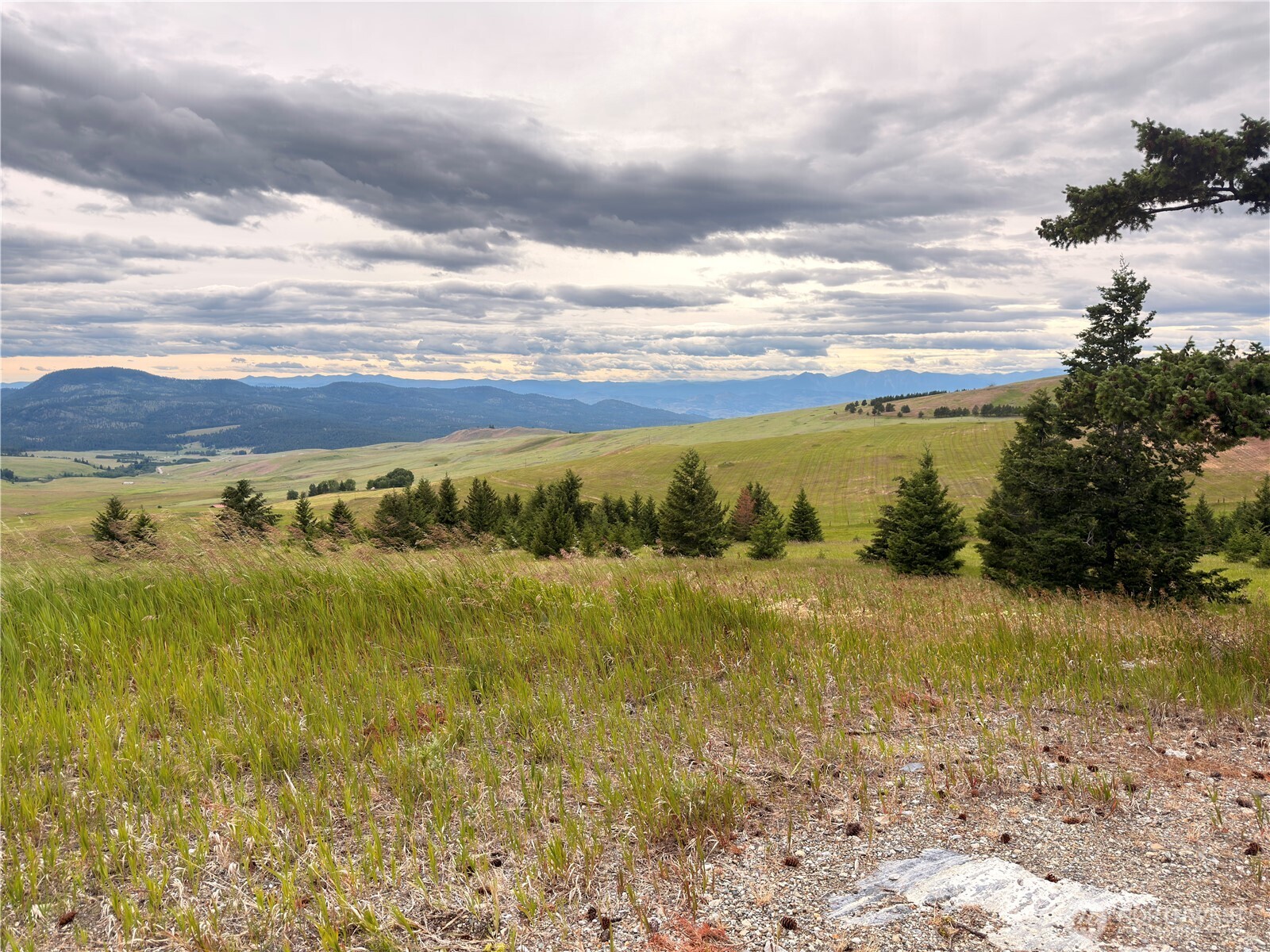 12 S Teal Lake Road Property Photo 3