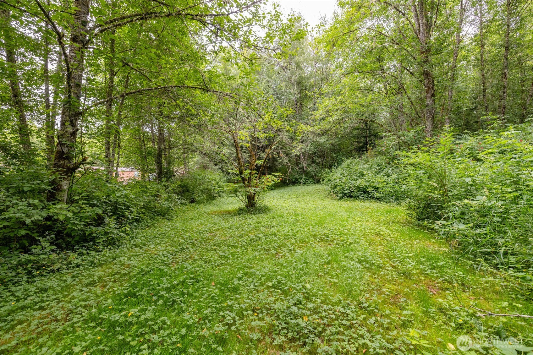 4059 Old Hwy 99 North Road Property Photo 31