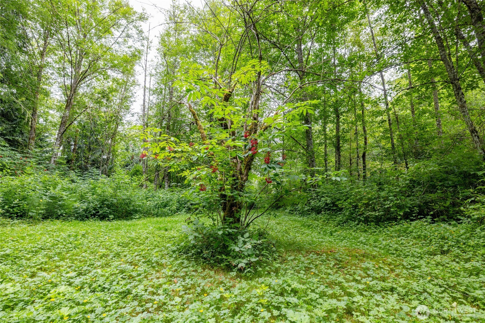 4059 Old Hwy 99 North Road Property Photo 32