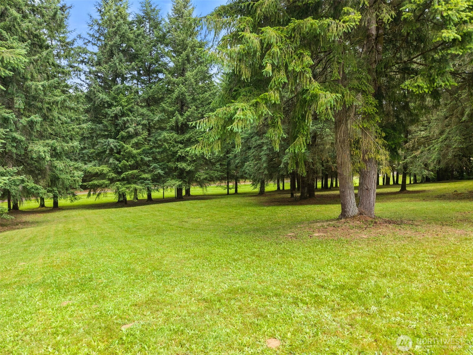 251 John Road Property Photo 33
