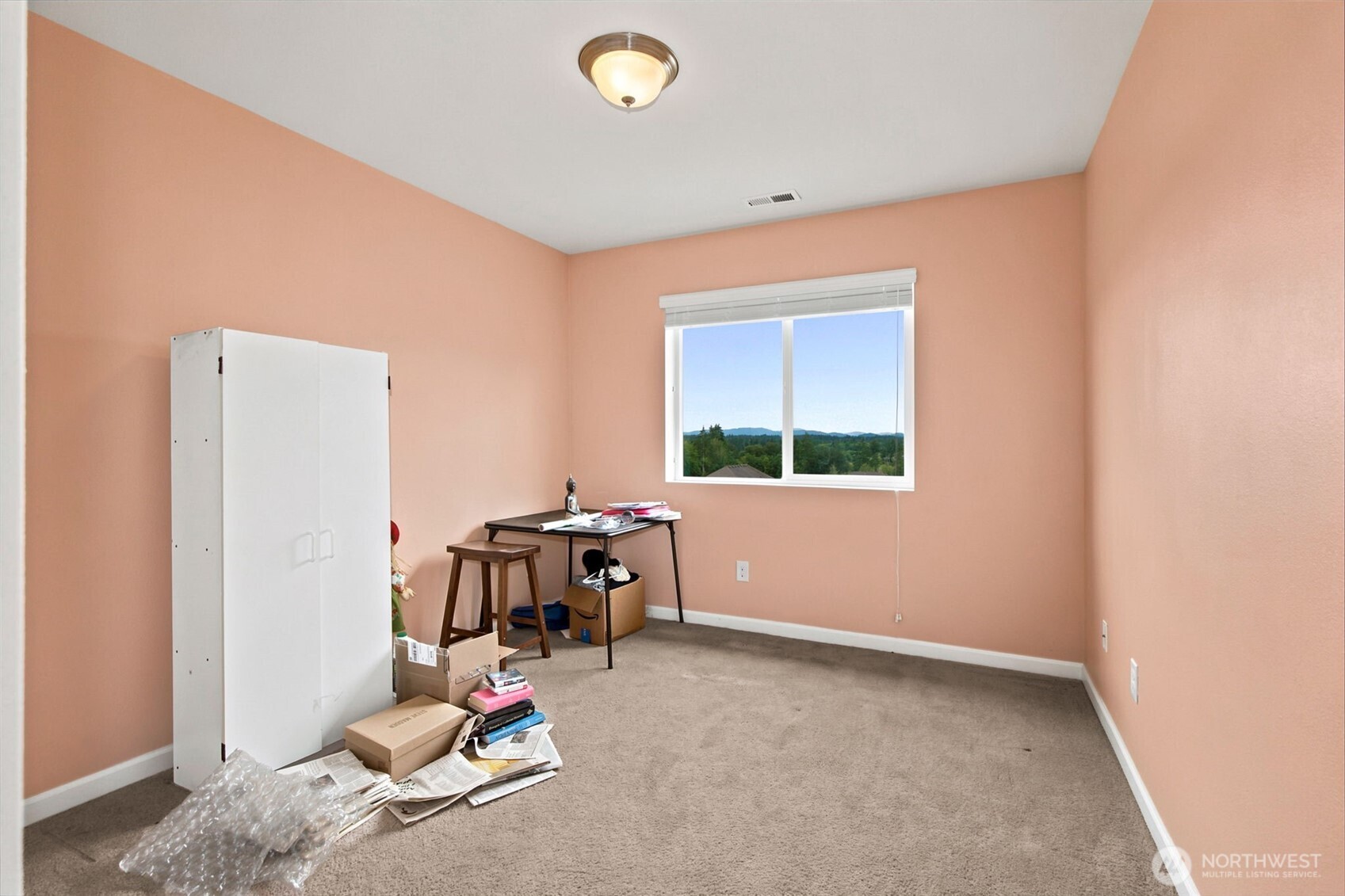 2805 Fiddleback Street Property Photo 27