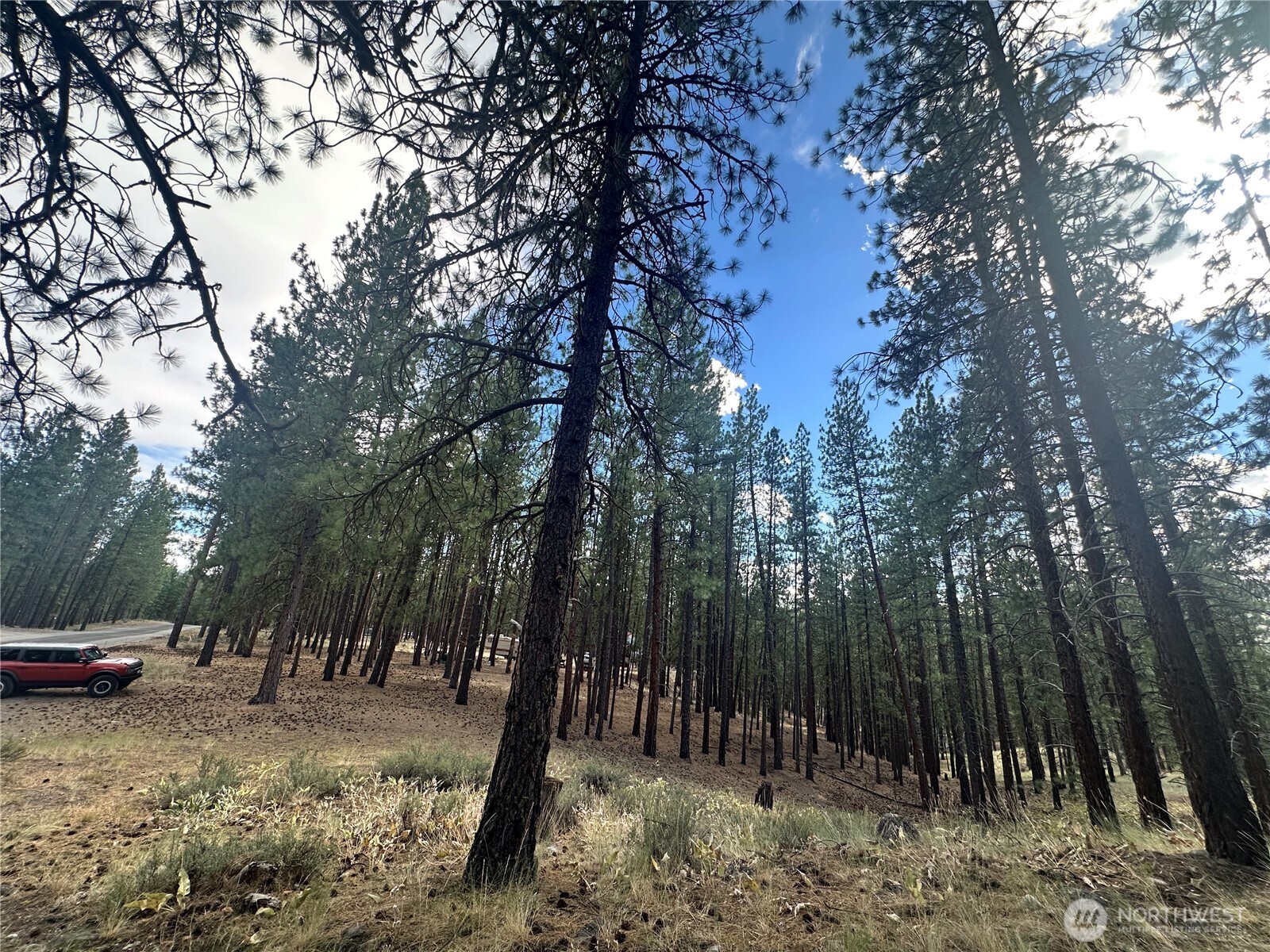 67 Larkspur Drive Property Photo 8