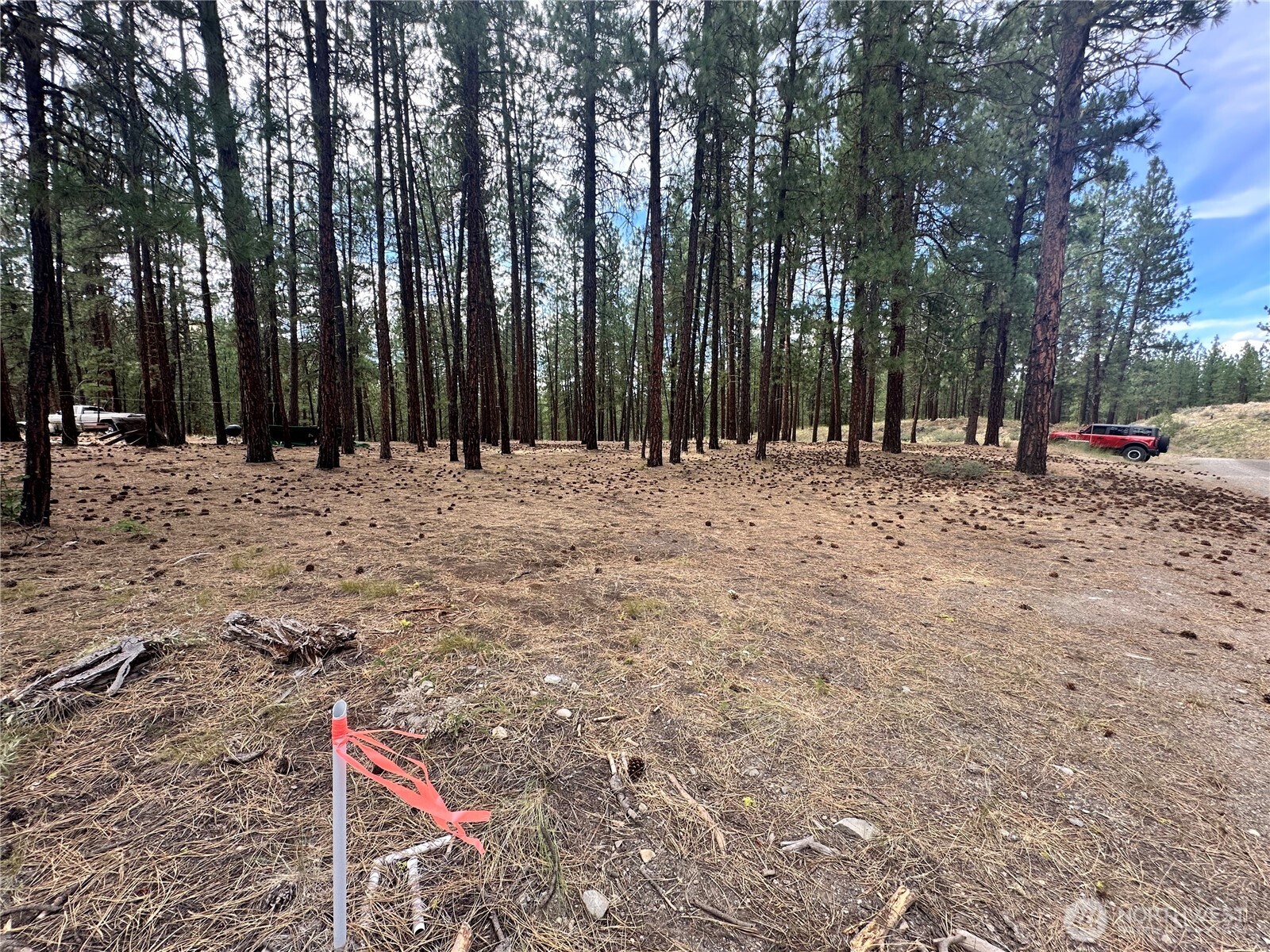 67 Larkspur Drive Property Photo 13