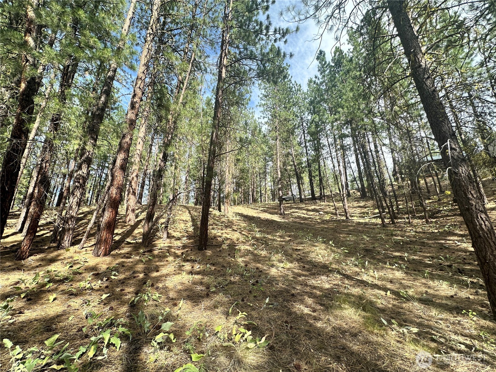 67 Larkspur Drive Property Photo 14