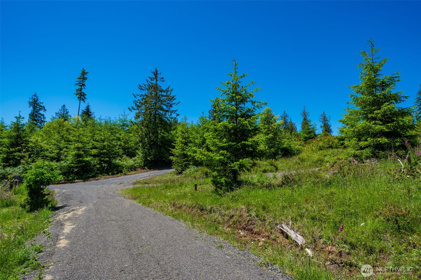 0 S Silver Lake Lot #7 Road Property Photo 9