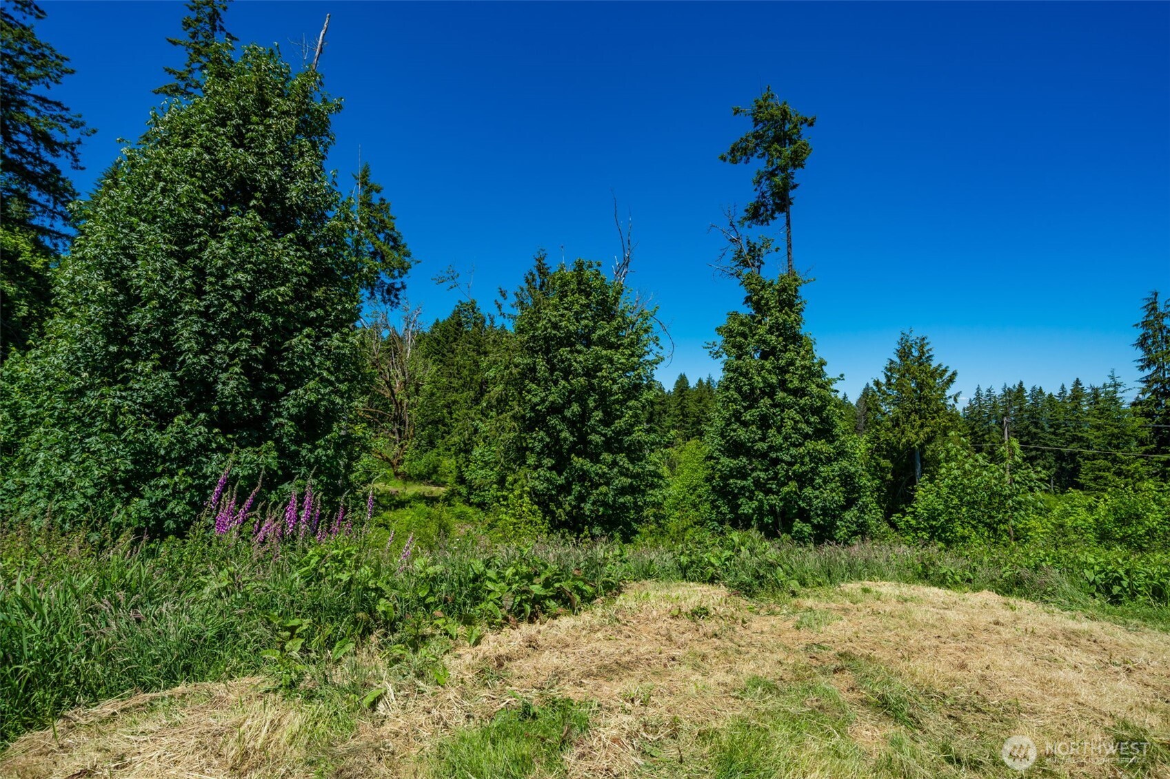 0 S Silver Lake Lot 6 Road Property Photo 5