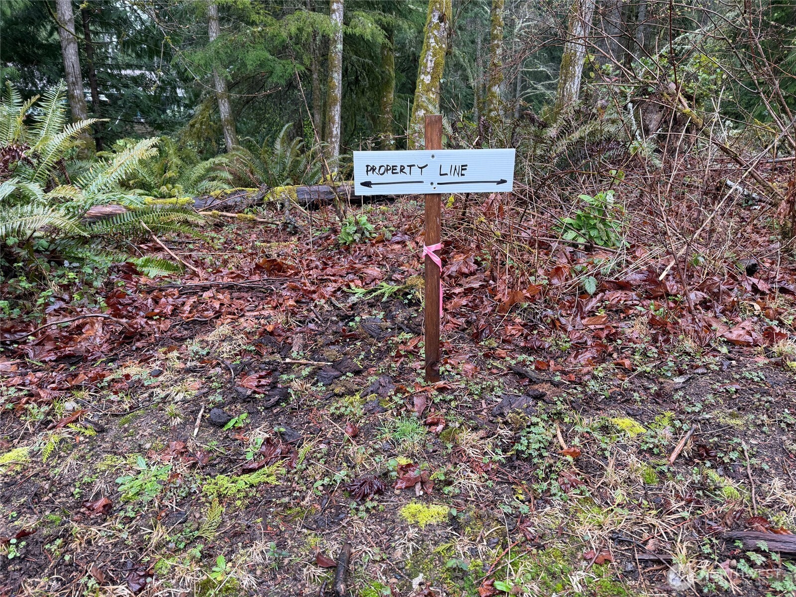 17680 Hallman Road Property Photo 22