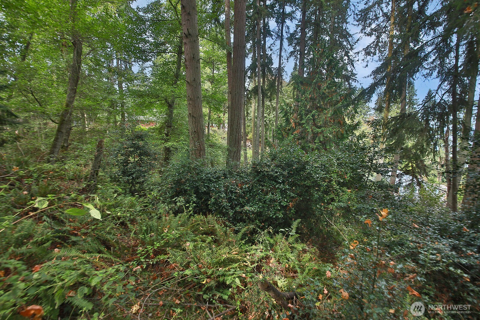 0 Xxx Waterside Lane Property Photo 19