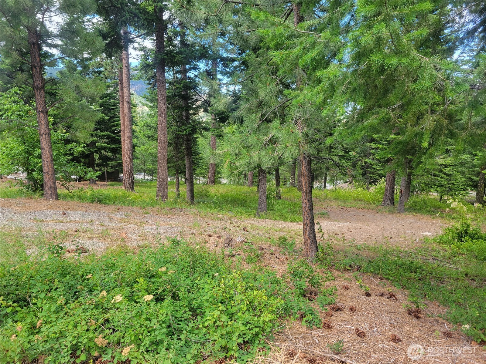 6757 Forest Ridge Drive Property Photo 1