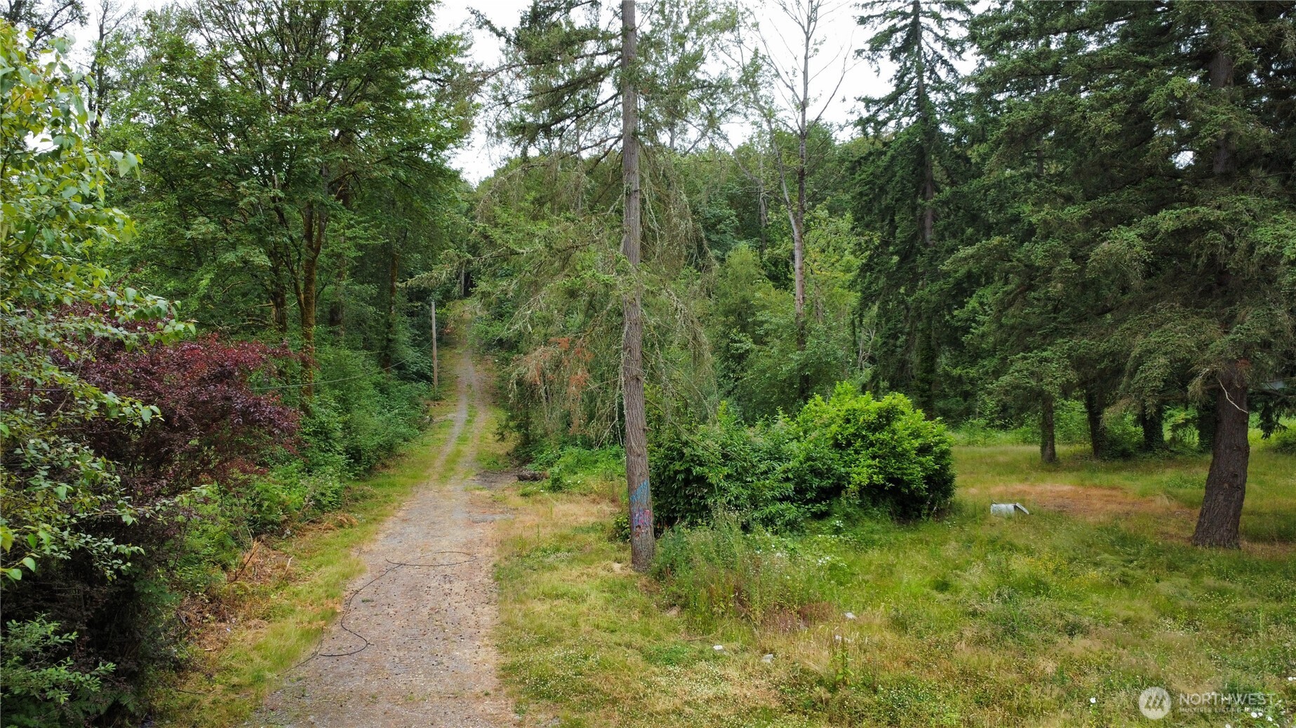 2647 S Star Lake Road Property Photo 4