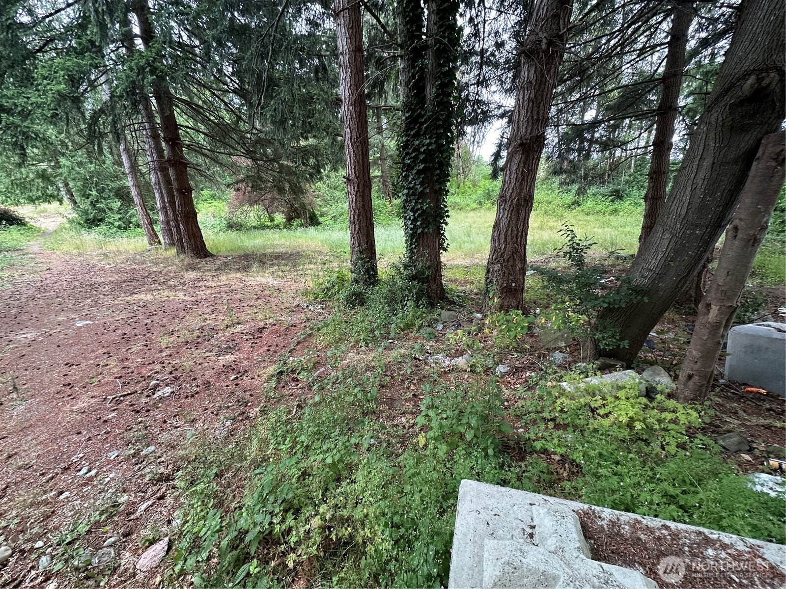 2647 S Star Lake Road Property Photo 7