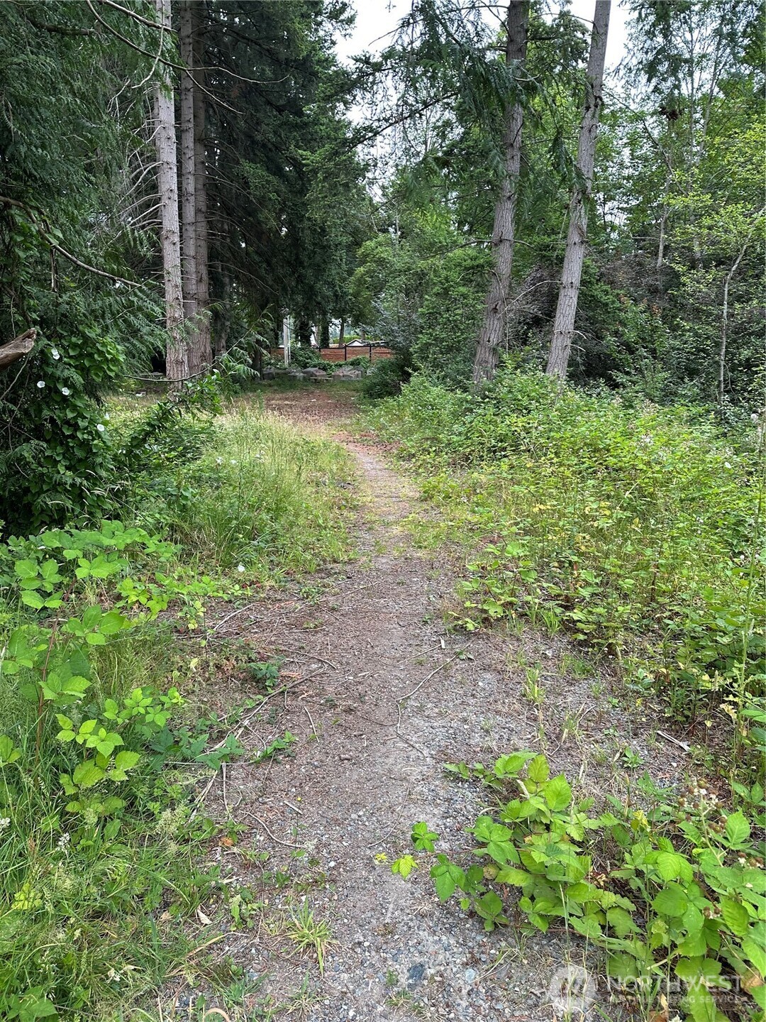 2647 S Star Lake Road Property Photo 9