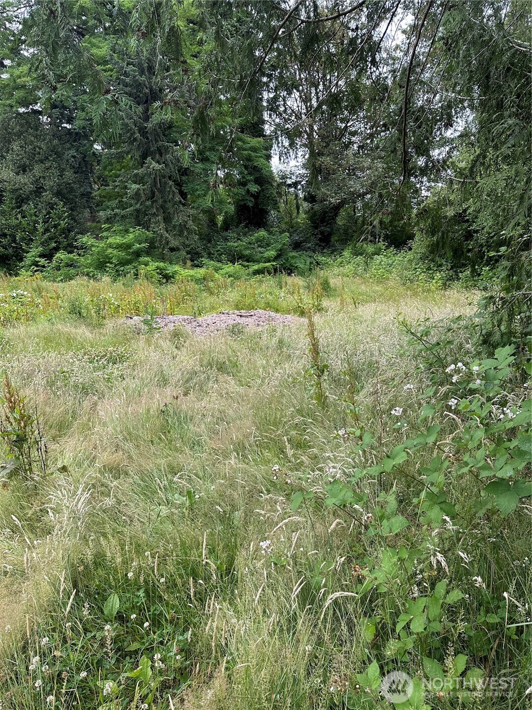 2647 S Star Lake Road Property Photo 10
