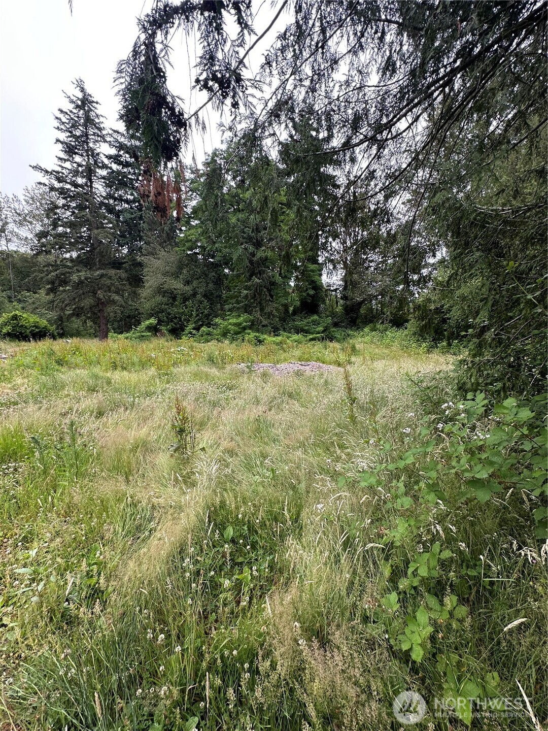 2647 S Star Lake Road Property Photo 11