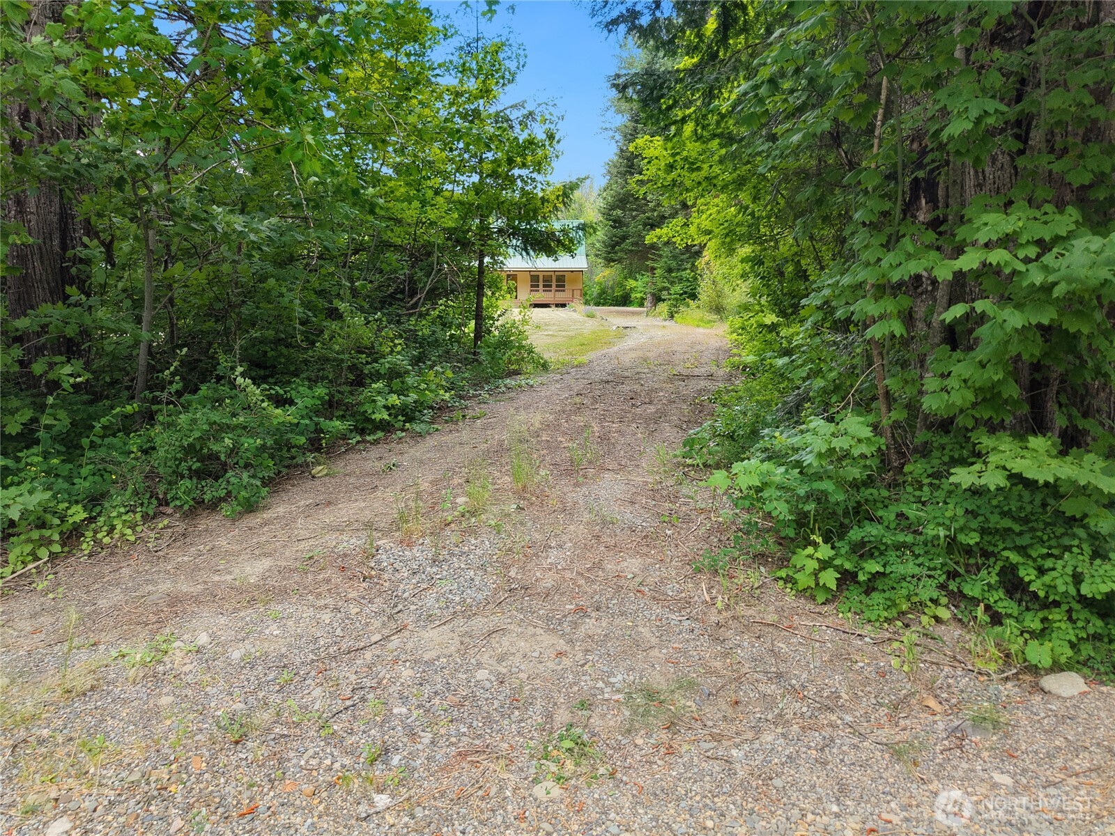 230 Shady Glen Drive Property Photo 5
