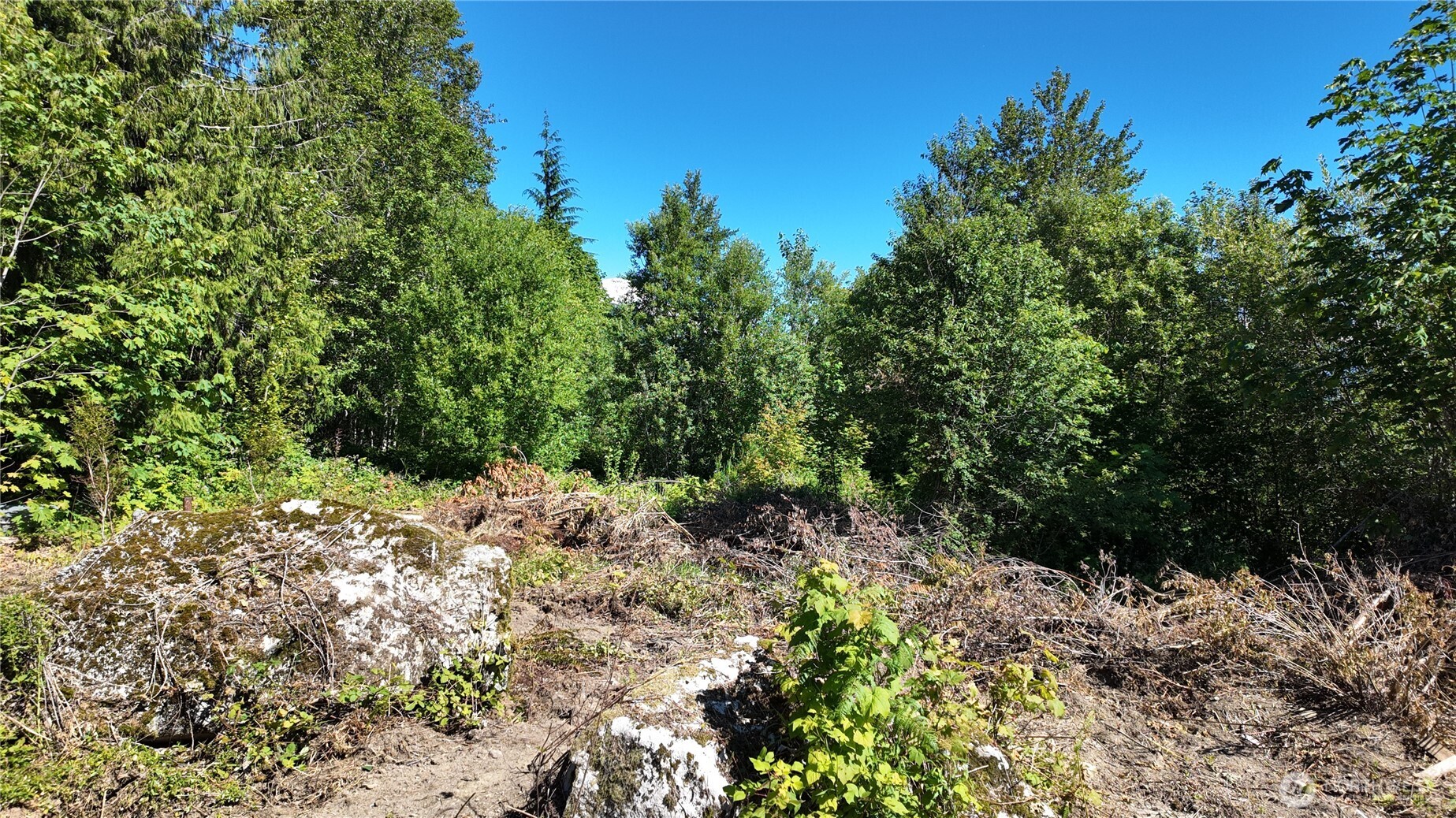 45028 Baker Lake Road Property Photo 17
