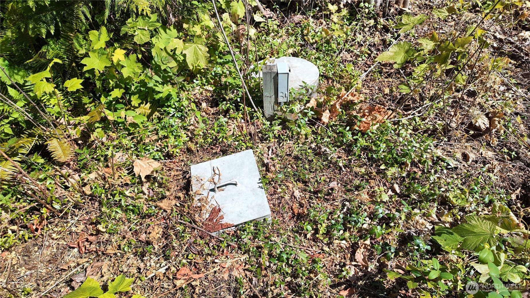 45028 Baker Lake Road Property Photo 27