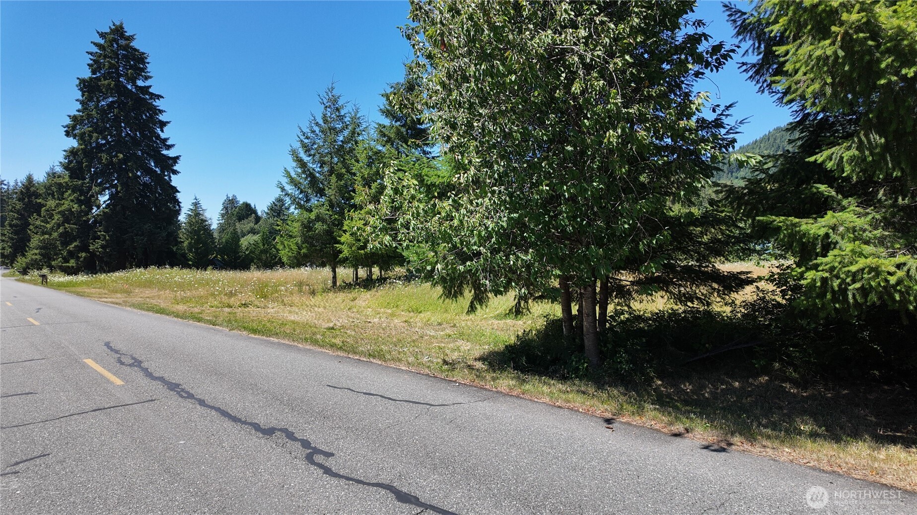 45075 Cedar Street Property Photo 1