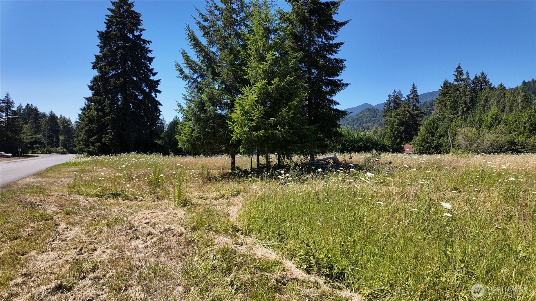 45075 Cedar Street Property Photo 3
