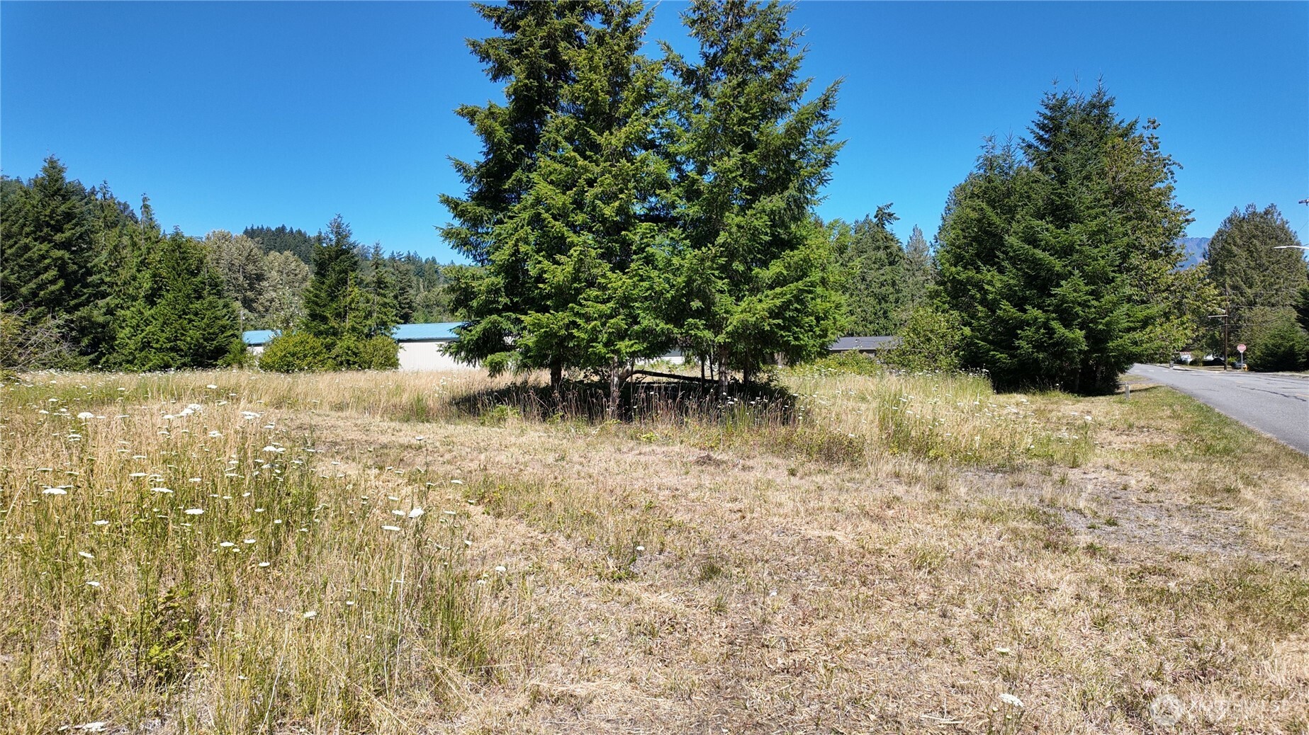 45075 Cedar Street Property Photo 4