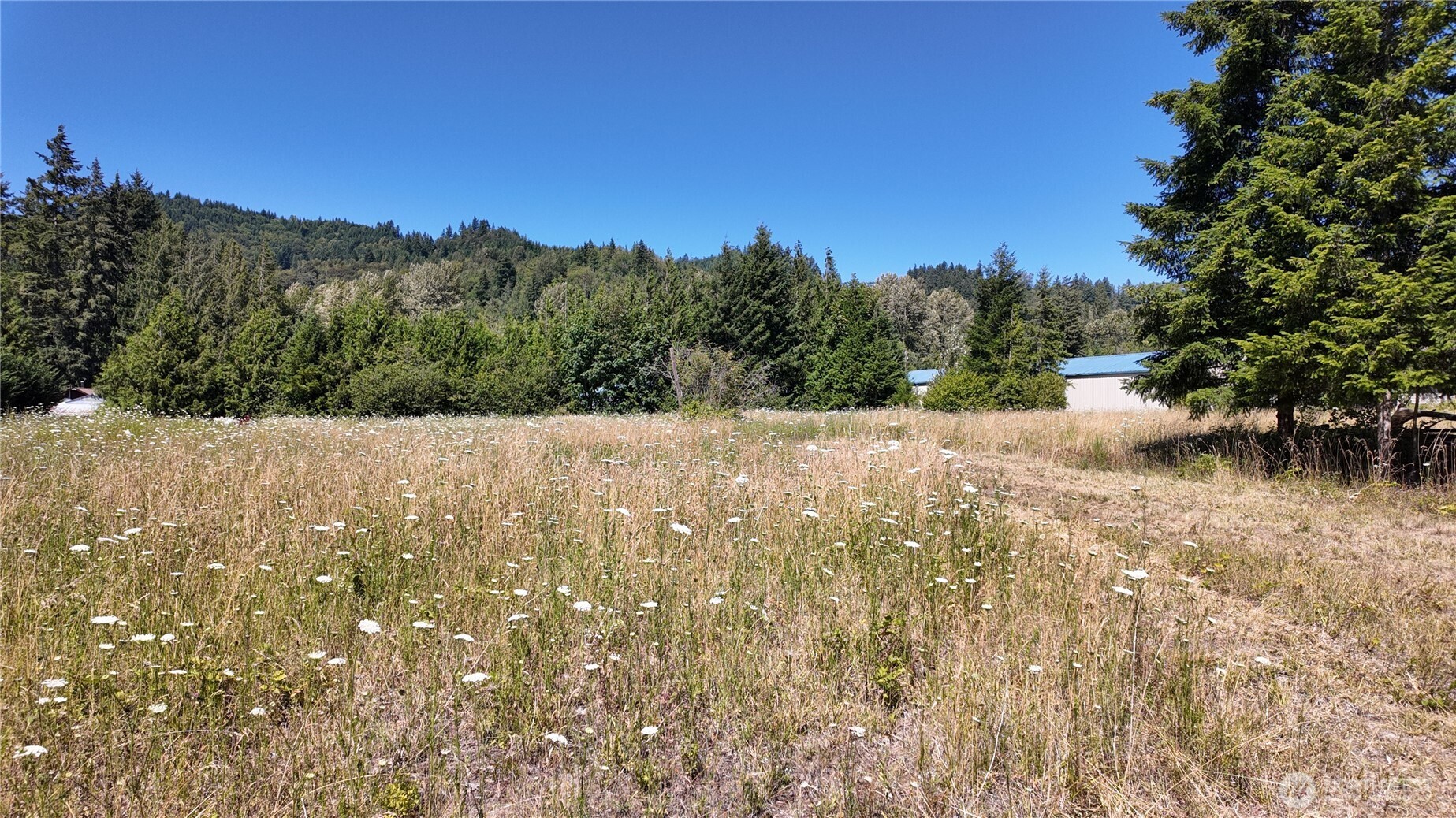 45075 Cedar Street Property Photo 5