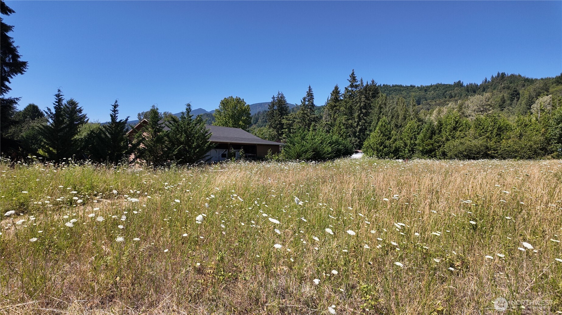 45075 Cedar Street Property Photo 6