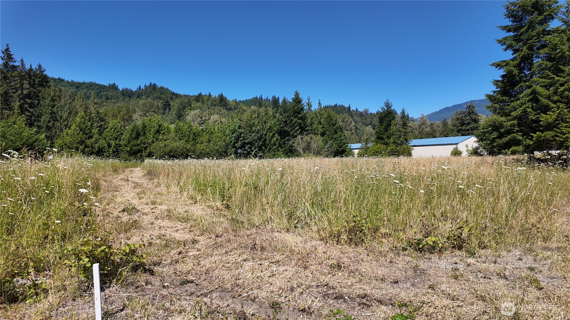 45075 Cedar Street Property Photo 8