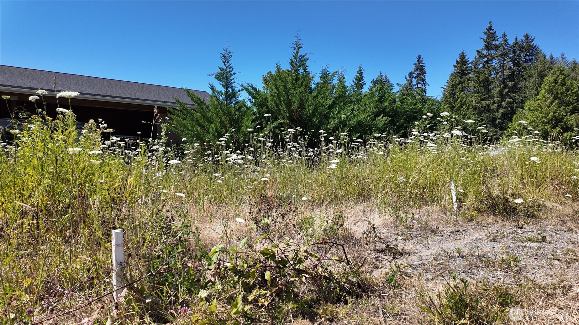 45075 Cedar Street Property Photo 10