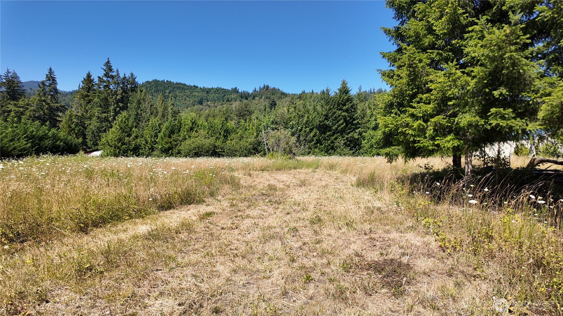 45075 Cedar Street Property Photo 28