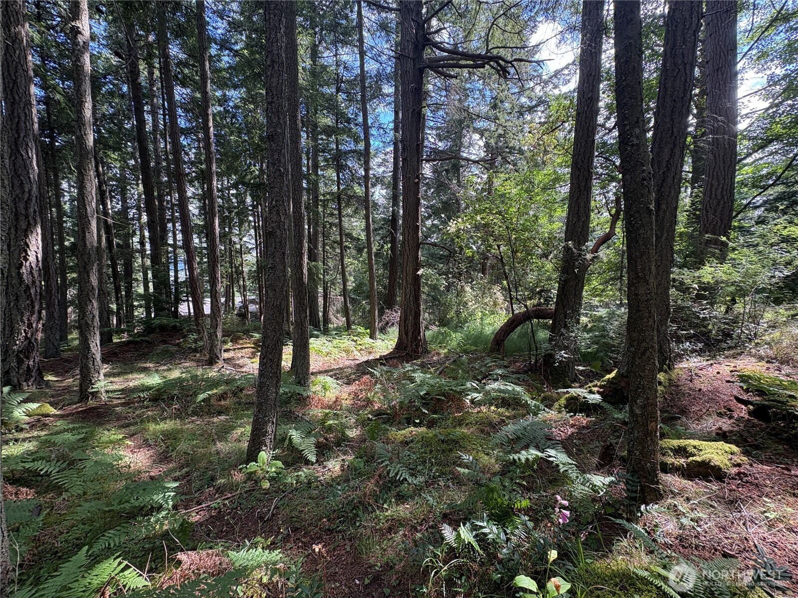0 Lot 14 Rosario Road Lot 14 Property Photo 6
