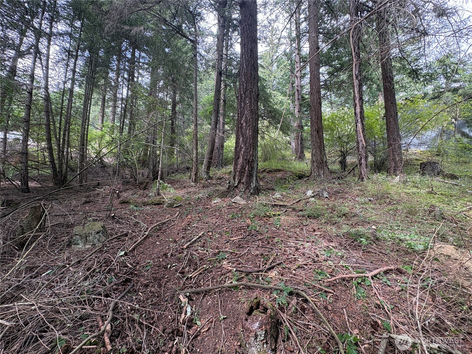 0 Lot 14 Rosario Road Lot 14 Property Photo 7