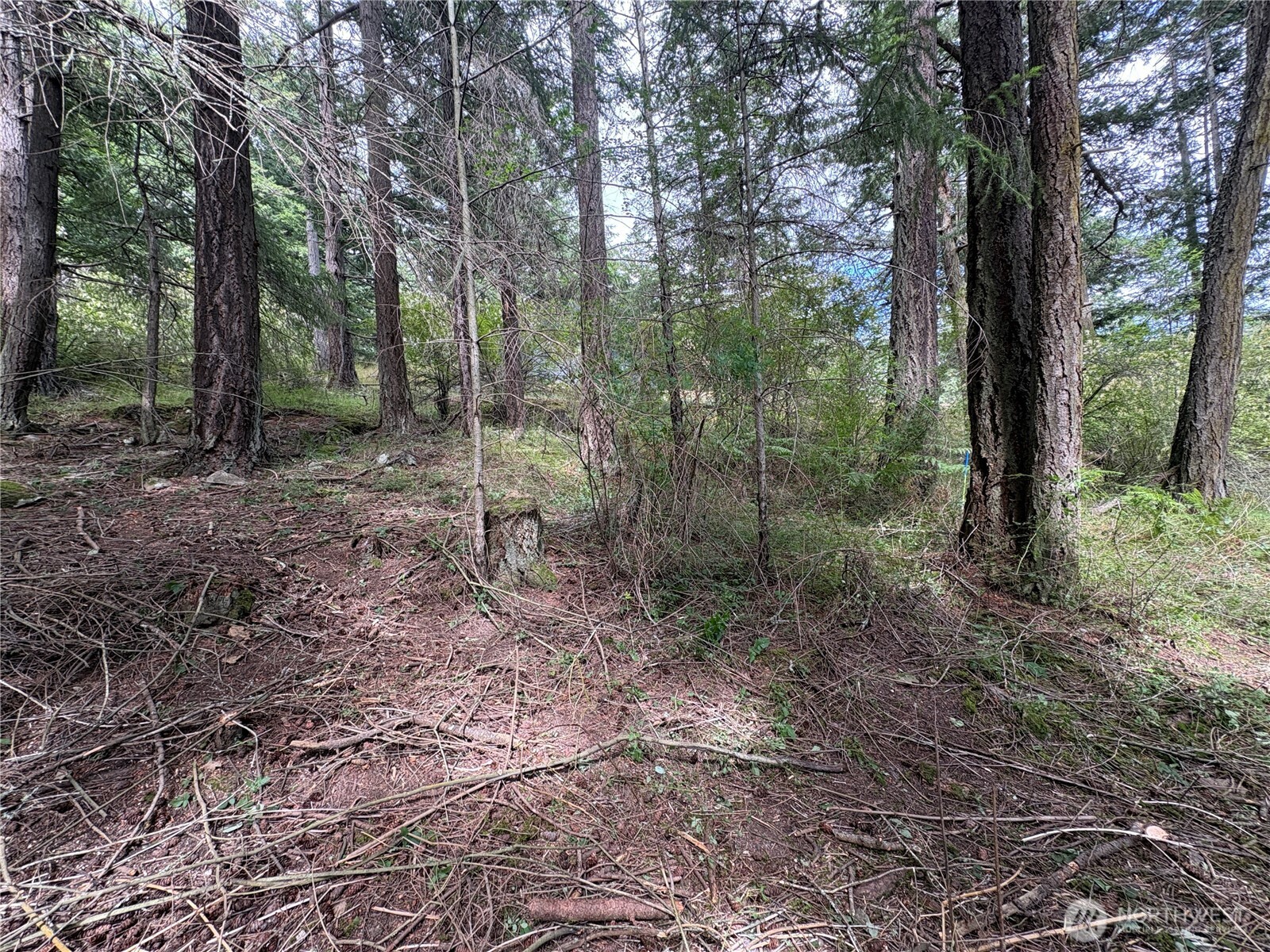0 Lot 14 Rosario Road Lot 14 Property Photo 8