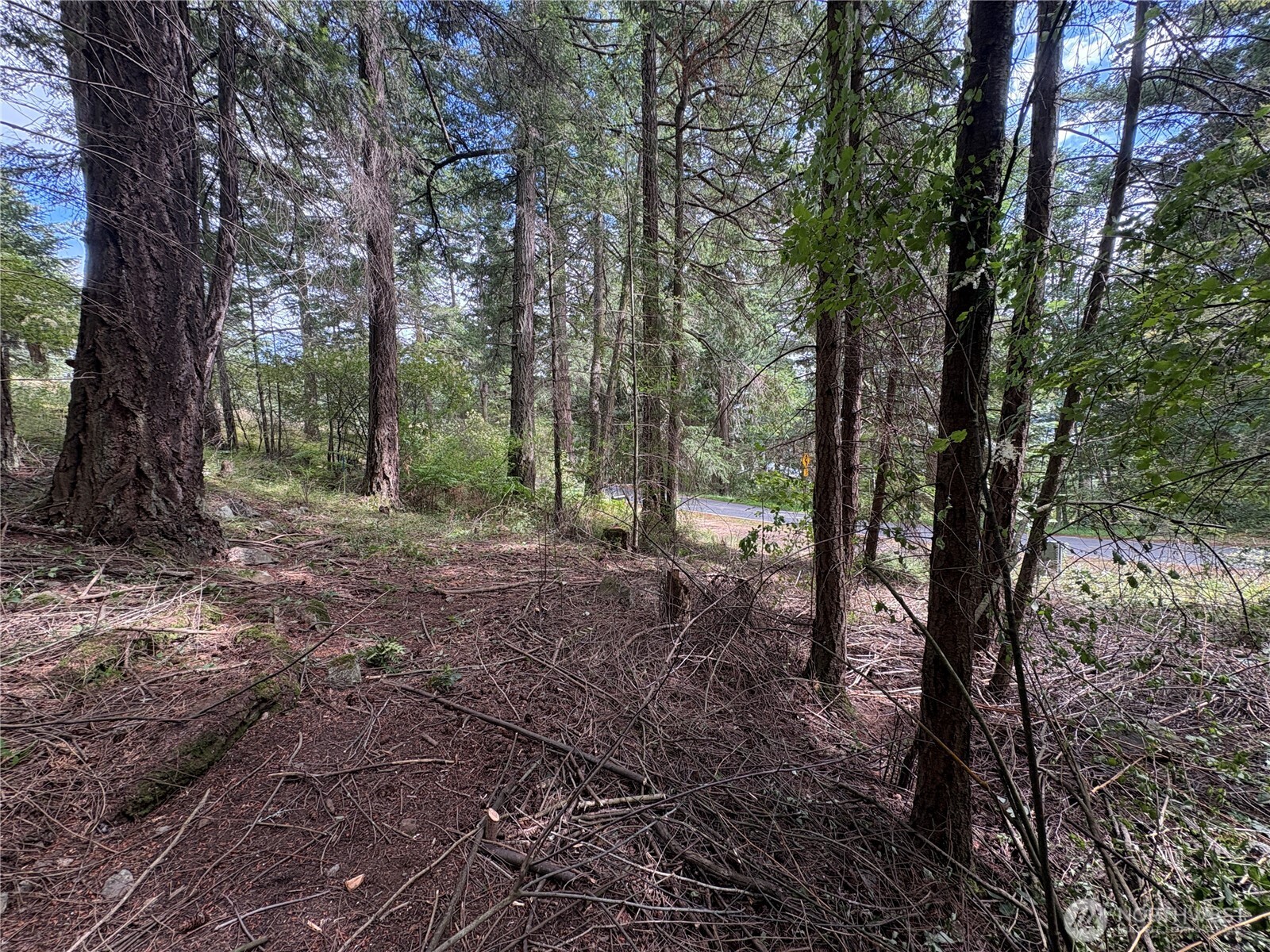 0 Lot 14 Rosario Road Lot 14 Property Photo 9
