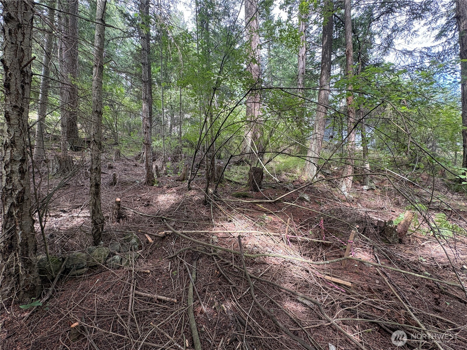 0 Lot 14 Rosario Road Lot 14 Property Photo 10