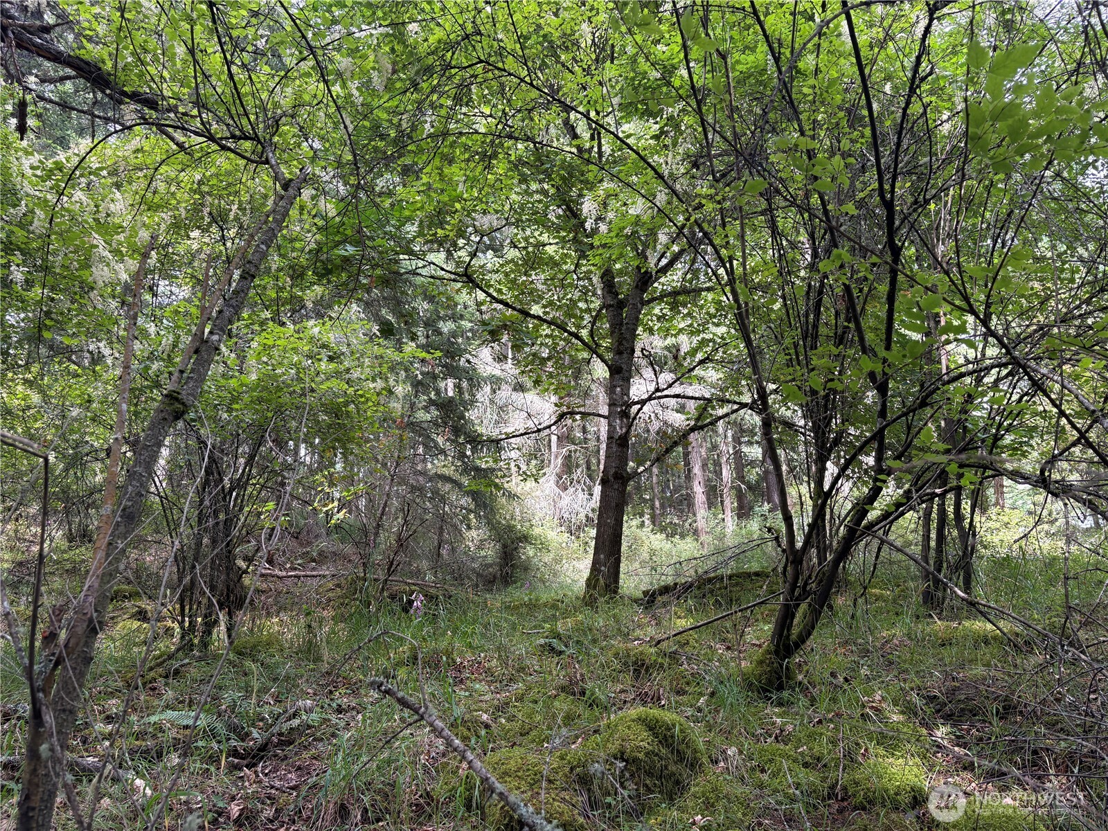 0 Lot 14 Rosario Road Lot 14 Property Photo 11