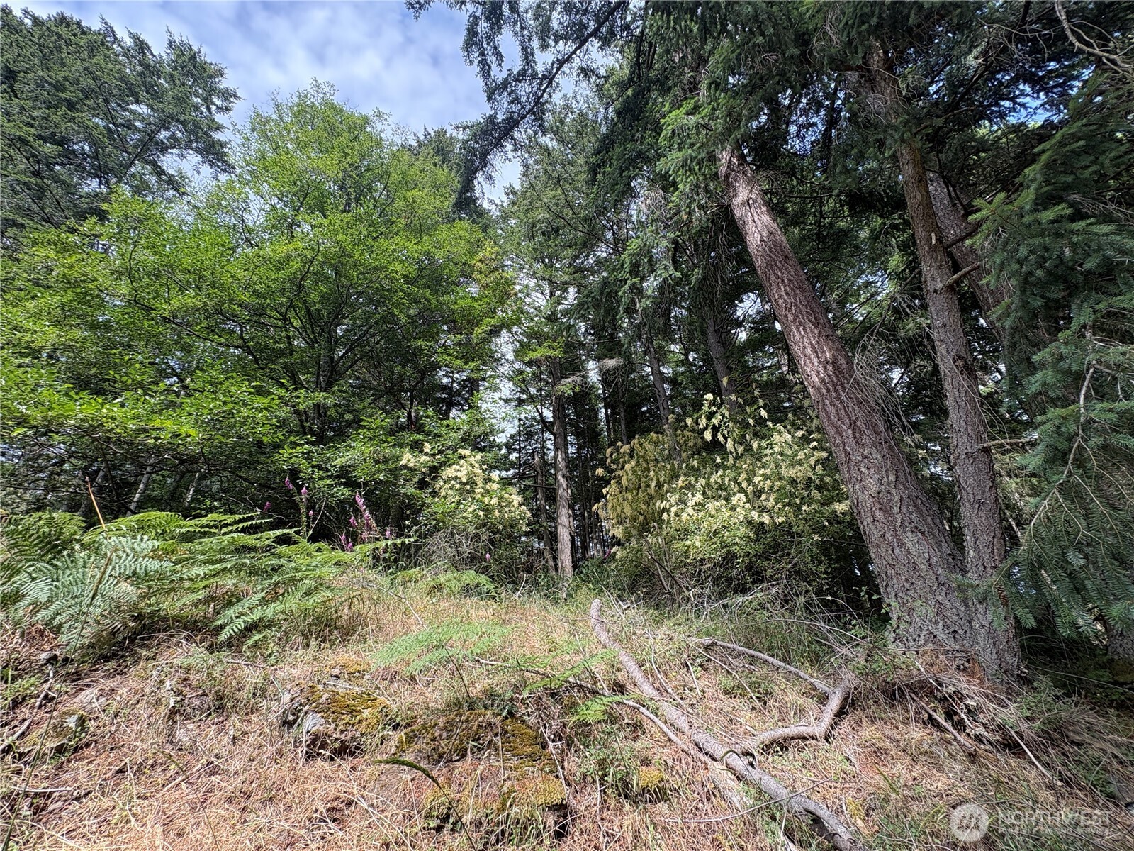 0 Lot 14 Rosario Road Lot 14 Property Photo 14