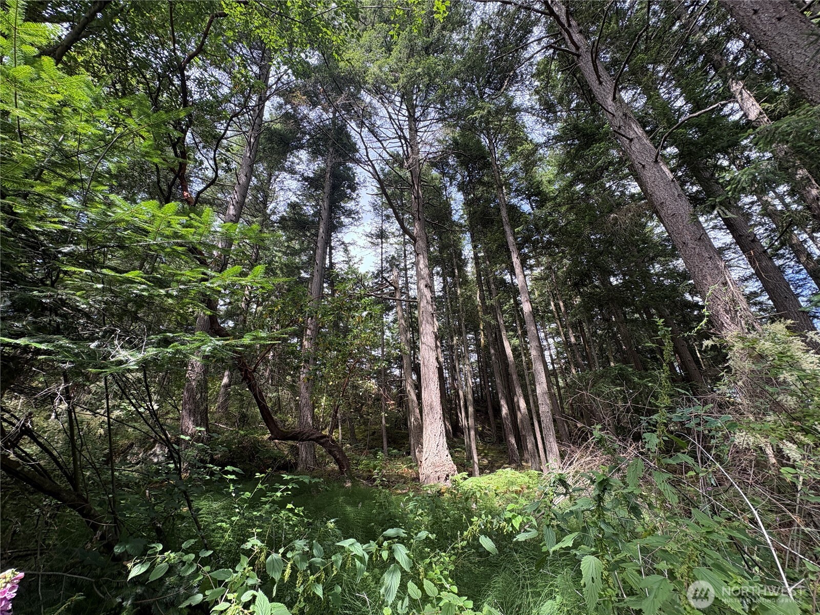 0 Lot 14 Rosario Road Lot 14 Property Photo 17
