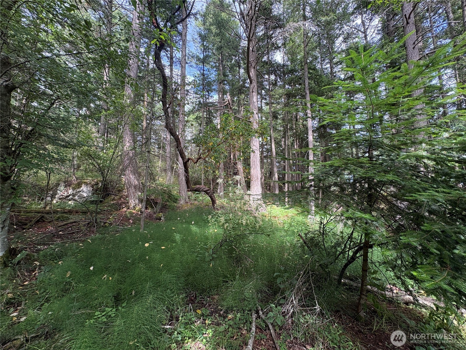 0 Lot 14 Rosario Road Lot 14 Property Photo 18