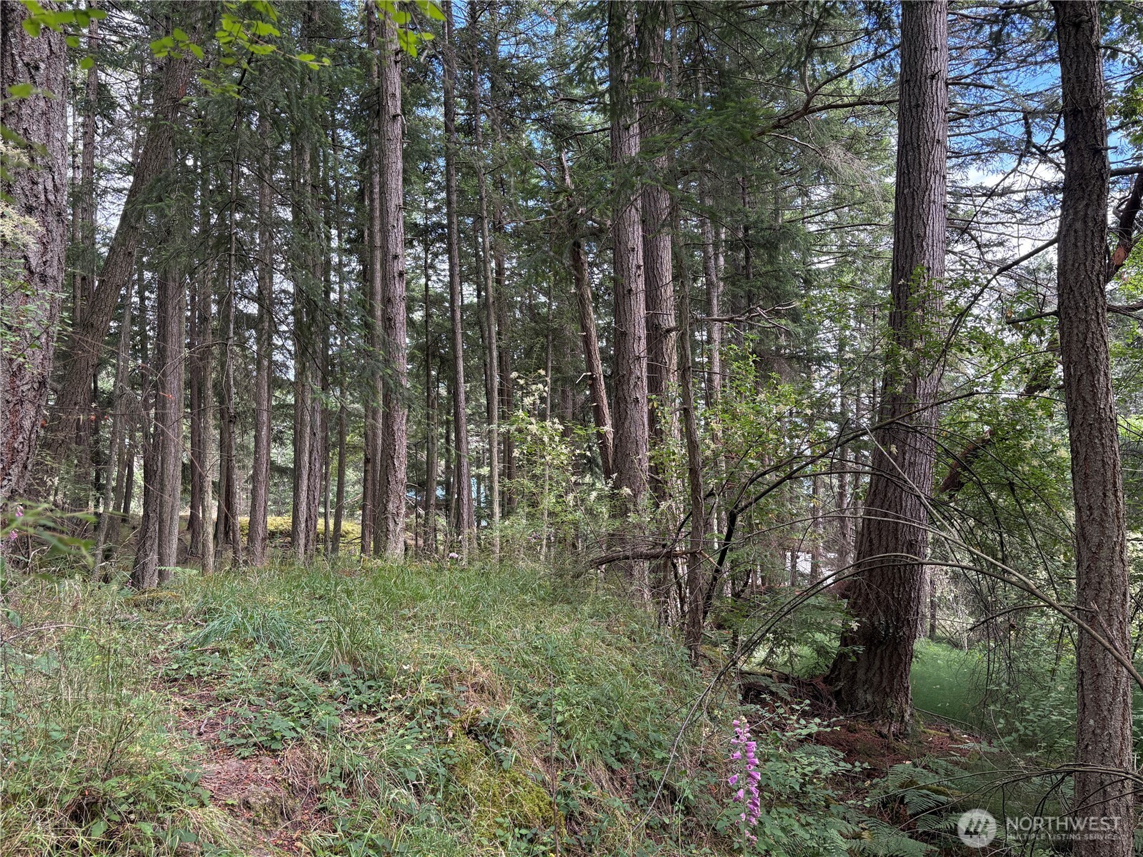 0 Lot 14 Rosario Road Lot 14 Property Photo 19